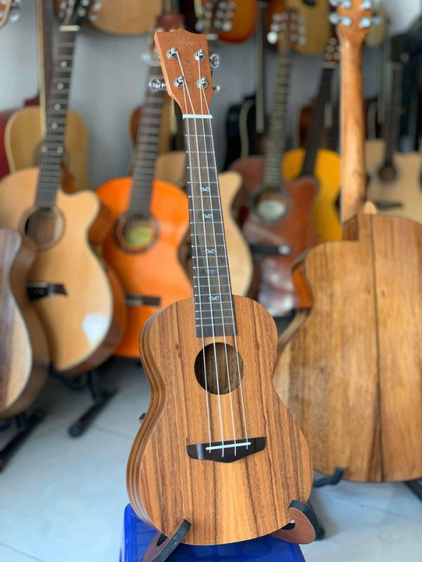 Đàn Ukulele Concert