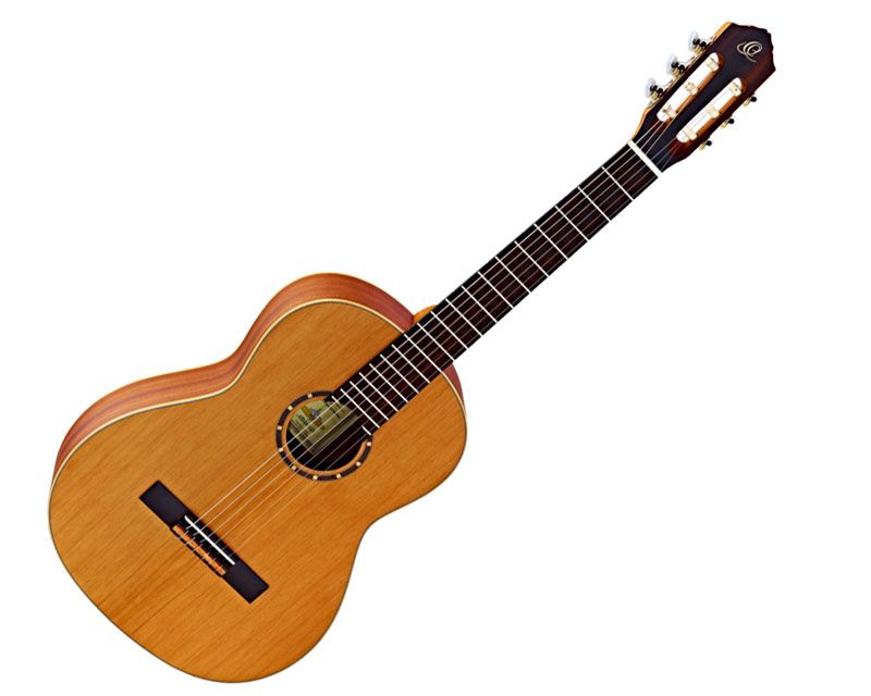 ORTEGA R122 guitar