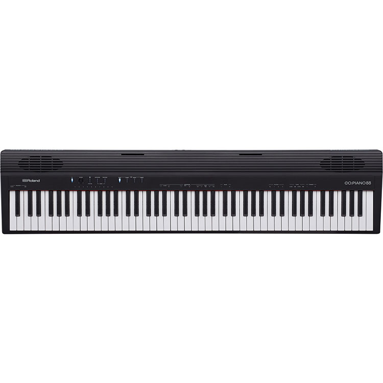 Roland Go 88-P
