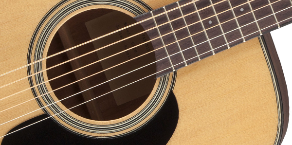 Takamine GD10