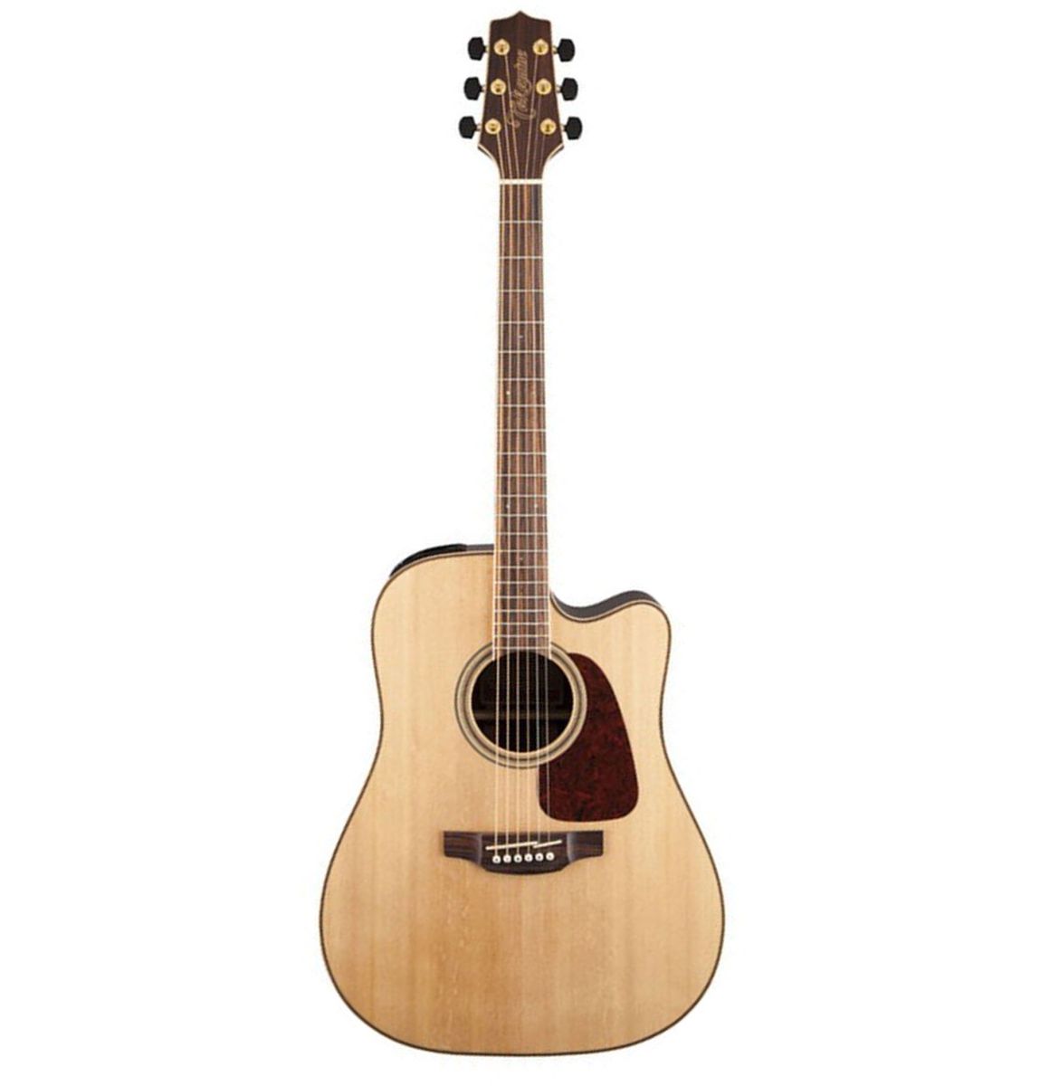 Takamine GD93CE