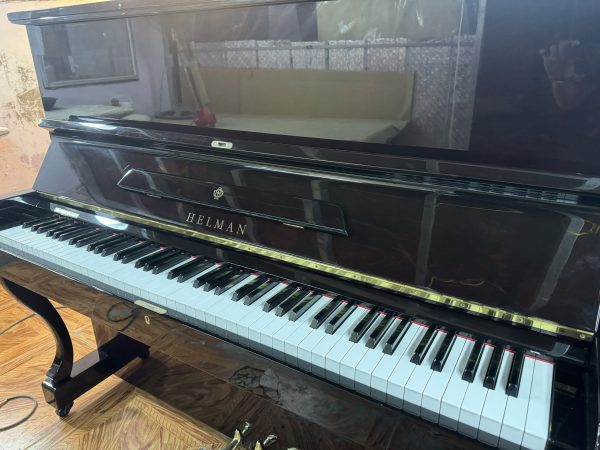 HELMAN DX – 2M